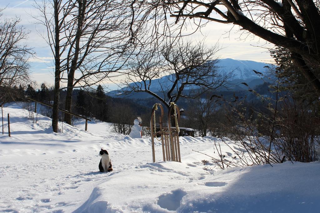 Reinsberg Hirmhofヴィラ エクステリア 写真